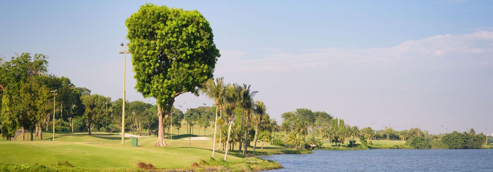 A golf course with palm trees and a lake under a bright blue sky