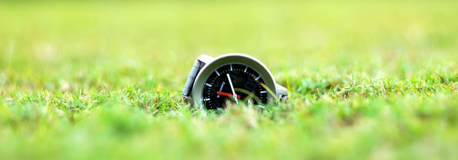 A wristwatch resting in short green grass
