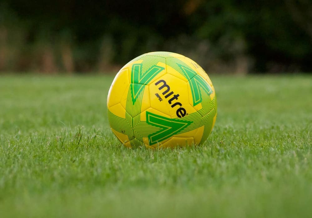 A yellow and green soccer ball resting on freshly mown grass