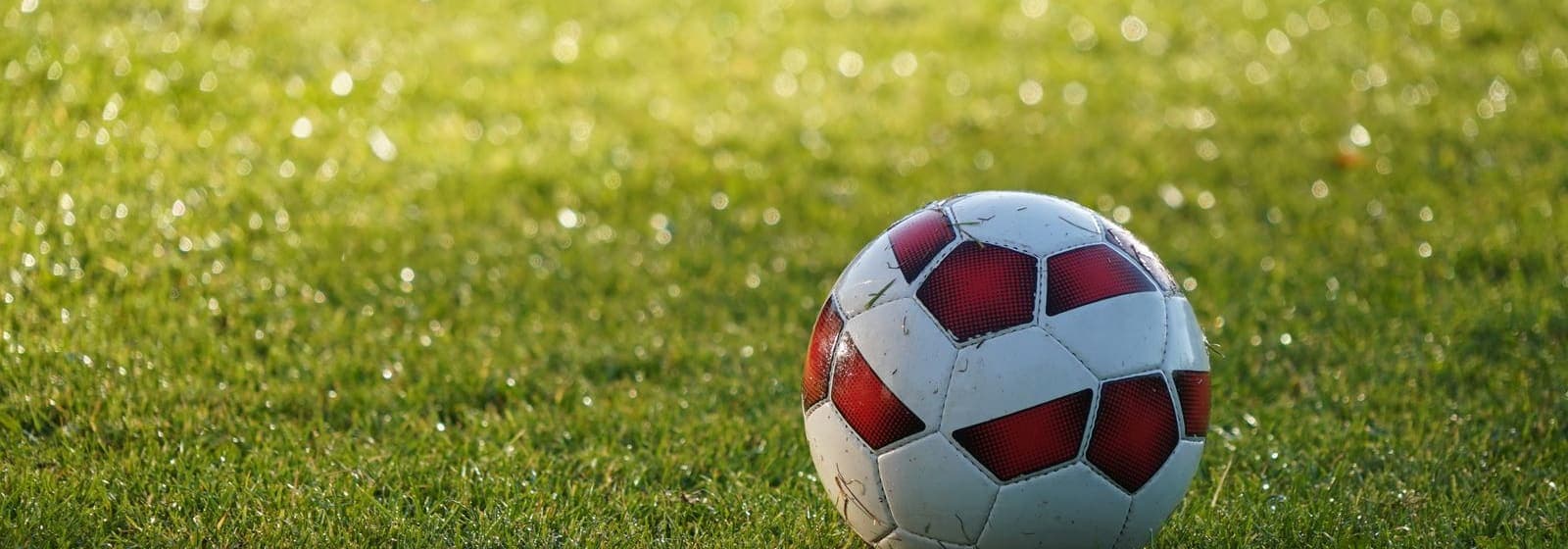 A red and white soccer ball resting on dewy short grass