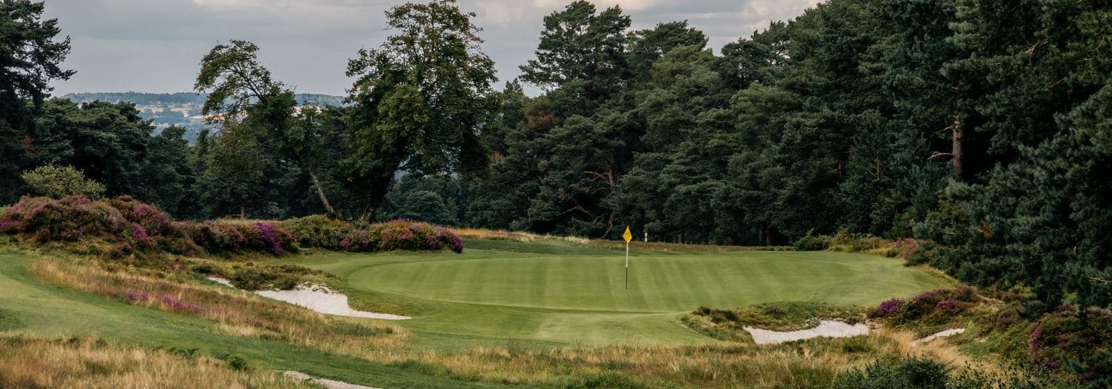 A green with a yellow flag framed by bunkers, heather, and pine trees on an English golf course